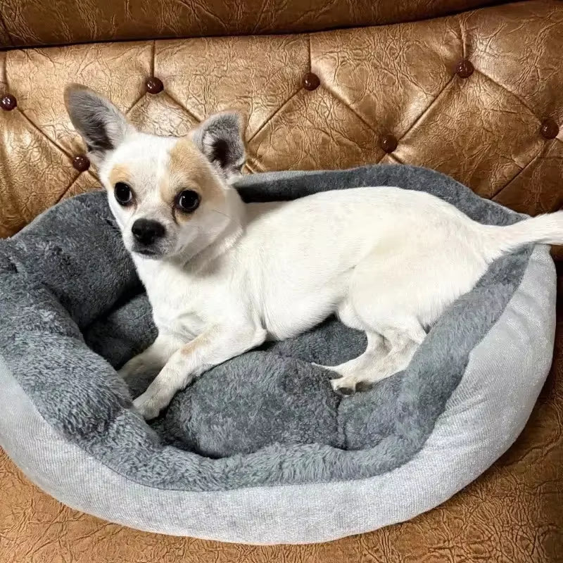 Very Soft Warm Dog Bed Pet Basket Cat House Sofa for Medium Large Dog Sofa Bed Cushion Dog Bed House Pet Supplies Accessories